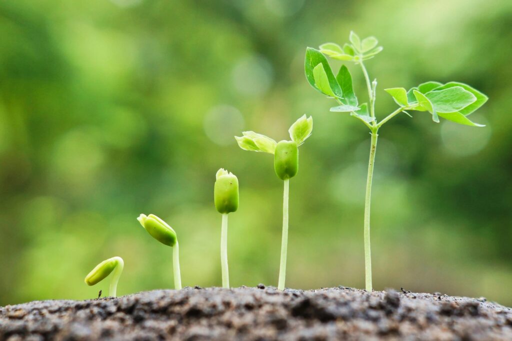 Skipton Therapy and Wellbeing